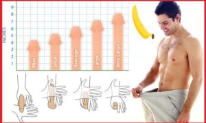 7 ejercicios para el pene | Entrenamiento Avanzado Jelqing